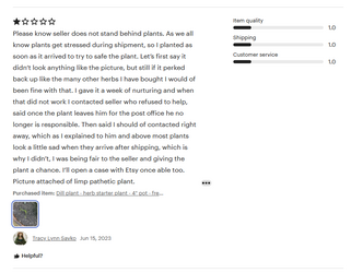 etsystupid_tracy-lynn-savko.png etsystupid_tracy-lynn-savko.png