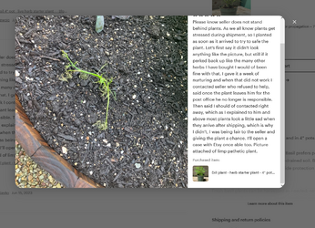 etsystupid_tracy-lynn-savko2.png