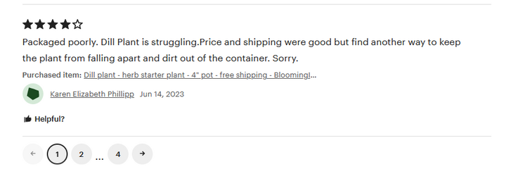 etsystupid_karen-elizabeth-phillipp.png