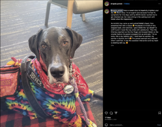 Screenshot_2023-06-18_at_7.19.45_PM.png