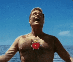 david-hasselhoff-spongebob-david-hasselhoff.gif