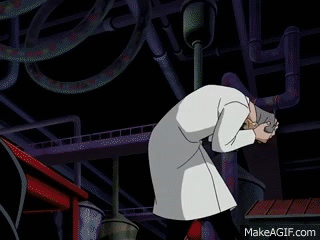 IMG_3143.gif