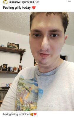 Noefforttranny~2.jpg