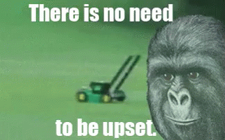 fly-no-need-to-be-upset.gif