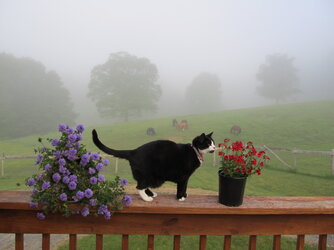 tumblr_567894e8a6d36a24aaa578ef2101138c_86a4f277_2048.jpg