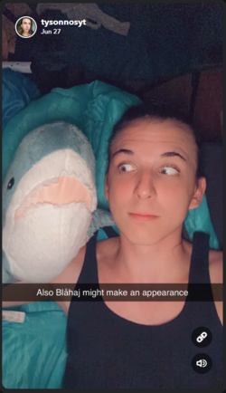 chris-jun-27-tranny-shark.png