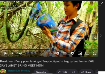 soccv.png