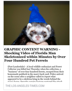 ferretattack.png