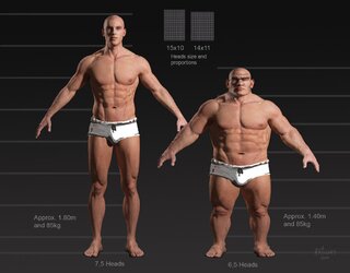 dwarf_anatomy_proportions_by_art.jpg