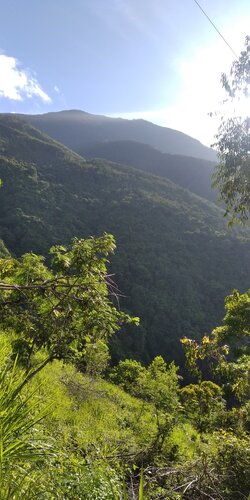 IMG_20230709_075537.jpg