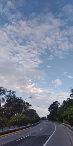 IMG_20230709_065049.jpg