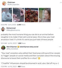 rabbit.jpg rabbit.jpg