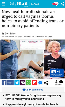 Screenshot_20230710_083737_Brave.png