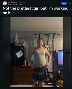 tr21.png