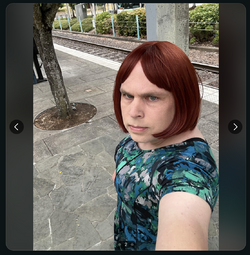 tr33.png