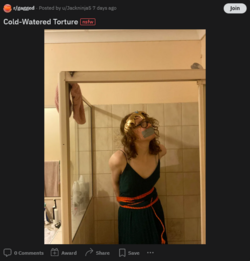 Screenshot 2023-07-11 at 20-11-57 DaisyGeekyTransGirl (u_Jackninja5) - Reddit.png