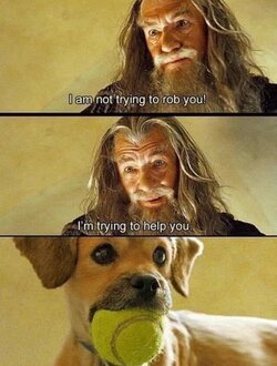 woof.jpg