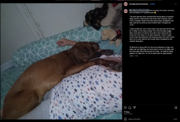 Screenshot 2023-07-13 at 6.00.16 PM.png