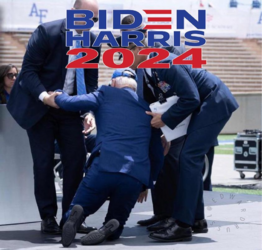 1689350132563.png