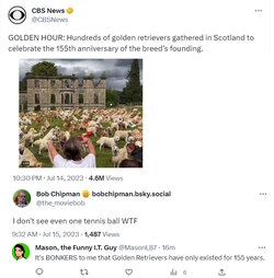 golden.jpg