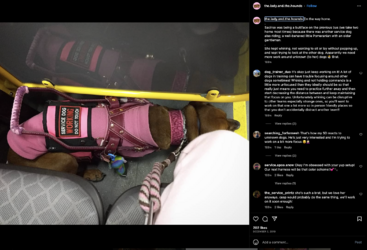 Screenshot 2023-07-15 at 10.39.56 AM.png