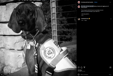 Screenshot 2023-07-15 at 10.48.13 AM.png