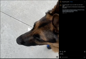 Screenshot 2023-07-15 at 11.11.50 AM.png