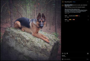 Screenshot 2023-07-15 at 11.18.19 AM.png