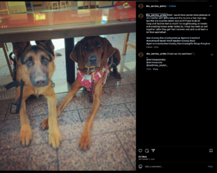 Screenshot 2023-07-15 at 11.23.52 AM.png