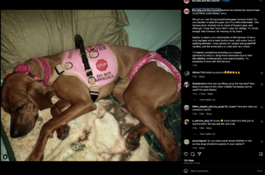 Screenshot 2023-07-15 at 10.52.26 AM.png