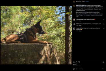 Screenshot 2023-07-15 at 11.46.25 AM.png