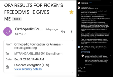 Screenshot 2023-07-15 at 6.41.48 PM.png