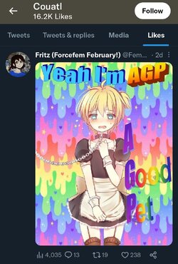 Screenshot_20230204-180442.jpg