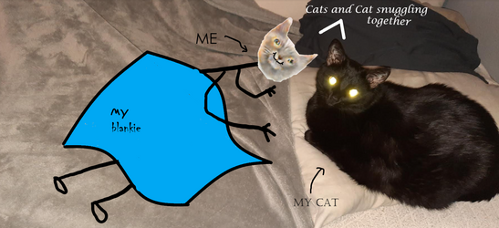 snumging2.png