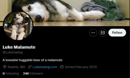 Lukeisadog twitter.png