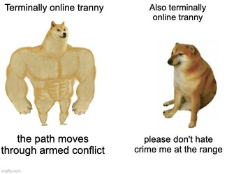 7sv2zg.jpg