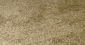 carpet.png