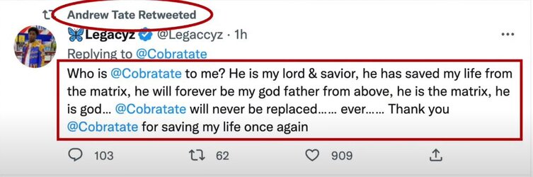 obviousshirk.JPG