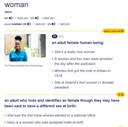 1689688035853.png