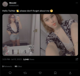 Screenshot 2023-07-18 at 12-58-01 Mooski on Twitter.png
