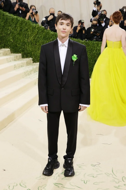 Ellen at junior prom.png