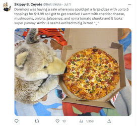 Jin pizza.png