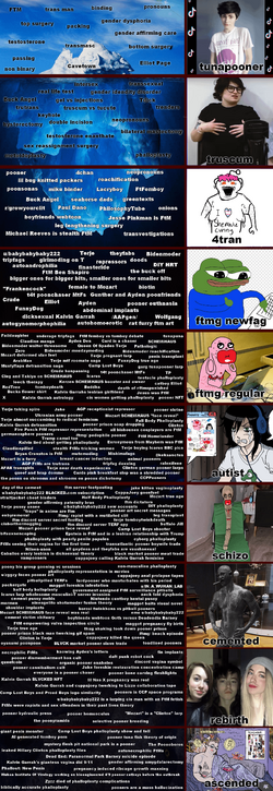 1675561150089335.png