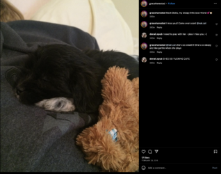 Screenshot 2023-07-18 at 18.43.31.png