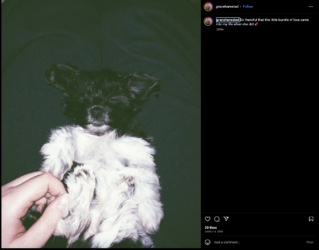 Screenshot 2023-07-18 at 20.33.46.png