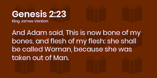 genesis-2-23.png
