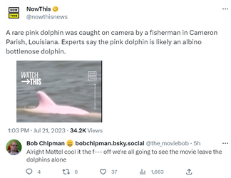 dolphin.png