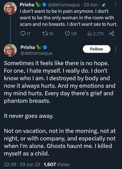 detrans.jpg