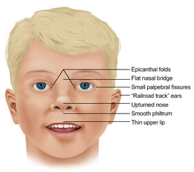 facial-details.jpg