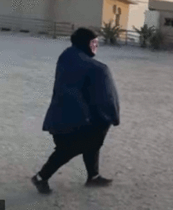 Untitled.gif